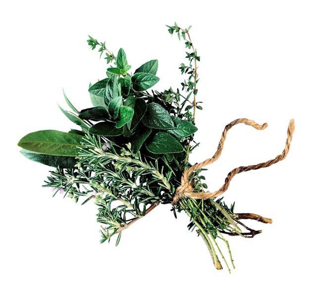 picture of herbs tied together to suggest cooking for example of recipe ideas for seniors